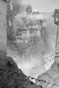 离婚后，我靠预知追夫火葬场：后续已完结（苏瑶江聿封）全文免费阅读无弹窗大结局_（苏瑶江聿封）离婚后，我靠预知追夫火葬场：后续已完结免费阅读全文免费阅读